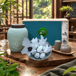 Trà Long chu Bát Đại Sơn